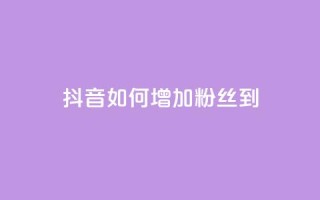 抖音如何增加粉丝到1000 - 抖音快速积累粉丝的有效方法揭秘!
