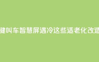 上海部分“一键叫车”智慧屏遇冷?这些适老化改造问题待优化