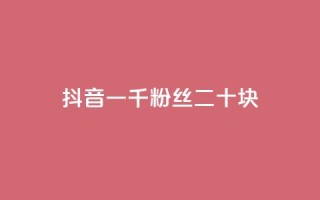 抖音一千粉丝二十块 - 如何在抖音快速获得1,000粉丝,仅需20元?!
