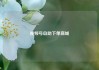 视频号自助下单商城