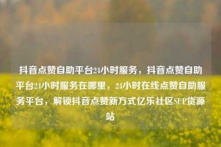 抖音点赞自助平台24小时服务,抖音点赞自助平台24小时服务在哪里,24小时在线点赞自助服务平台,解锁抖音点赞新方式亿乐社区SUP货源站