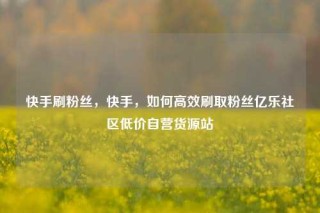 快手刷粉丝,快手,如何高效刷取粉丝亿乐社区低价自营货源站