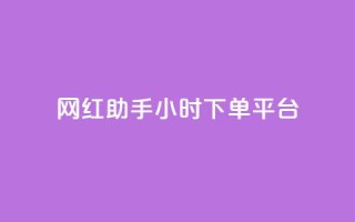网红助手24小时下单平台 - 24小时下单平台,携手网红助手,助你快速在线购物~