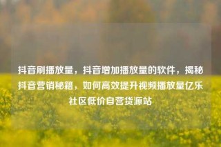 抖音刷播放量,抖音增加播放量的软件,揭秘抖音营销秘籍,如何高效提升视频播放量亿乐社区低价自营货源站