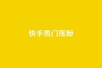 快手热门涨粉APP - 热门快手涨粉软件的新冠军!