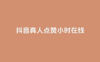 抖音真人点赞24小时在线 - 24小时不间断抖音真人点赞在线服务!