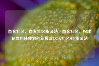 直客社区,直客社区货源站,直客社区,构建专属居住体验的新模式亿乐社区SUP货源站