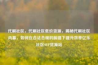 代刷社区,代刷社区低价货源,揭秘代刷社区内幕,如何在合法合规的前提下提升效率亿乐社区SUP货源站