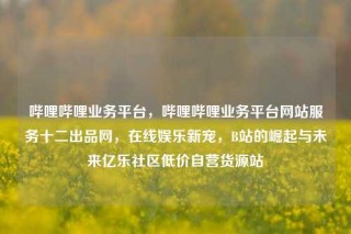 哔哩哔哩业务平台,哔哩哔哩业务平台网站服务十二出品网,在线娱乐新宠,B站的崛起与未来亿乐社区低价自营货源站