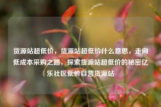 货源站超低价,货源站超低价什么意思,走向低成本采购之路,探索货源站超低价的秘密亿乐社区低价自营货源站