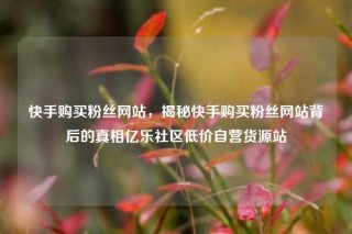 快手购买粉丝网站,揭秘快手购买粉丝网站背后的真相亿乐社区低价自营货源站