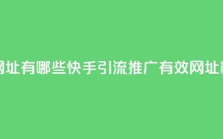 快手推广引流网址有哪些 - 快手引流推广有效网址精选推荐!