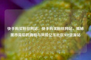 快手购买粉丝网站,快手购买粉丝网站,揭秘黑市背后的真相与风险亿乐社区SUP货源站