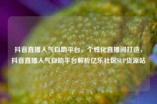 抖音直播人气自助平台,个性化直播间打造,抖音直播人气自助平台解析亿乐社区SUP货源站