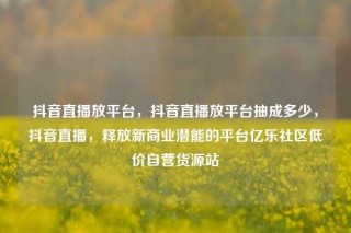 抖音直播放平台,抖音直播放平台抽成多少,抖音直播,释放新商业潜能的平台亿乐社区低价自营货源站