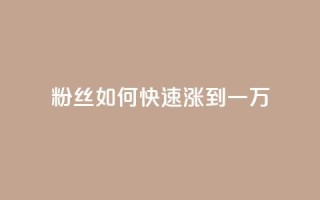 粉丝如何快速涨到一万 - 快速提升粉丝数量至一万的有效策略!