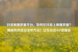 抖音刷播放量平台，如何在抖音上刷播放量？揭秘有效且安全的方法！亿乐社区SUP货源站