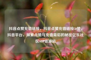 抖音点赞充值链接,抖音点赞充值链接50赞,抖音平台,探索点赞与充值背后的秘密亿乐社区SUP货源站