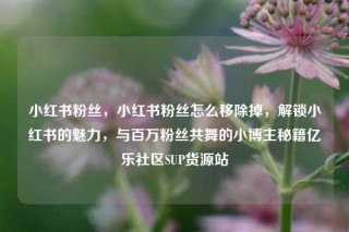 小红书粉丝,小红书粉丝怎么移除掉,解锁小红书的魅力,与百万粉丝共舞的小博主秘籍亿乐社区SUP货源站