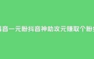 抖音一元1000粉(抖音神助攻:1元赚取1000个粉丝)