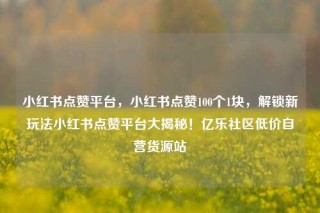 小红书点赞平台,小红书点赞100个1块,解锁新玩法小红书点赞平台大揭秘!亿乐社区低价自营货源站