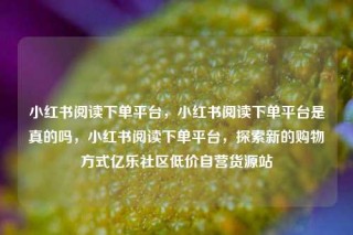 小红书阅读下单平台,小红书阅读下单平台是真的吗,小红书阅读下单平台,探索新的购物方式亿乐社区低价自营货源站