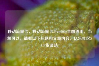 移动流量卡，移动流量卡29元300g全国通用，当然可以，请看以下标题和文章内容，亿乐社区SUP货源站
