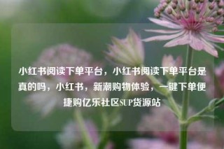 小红书阅读下单平台,小红书阅读下单平台是真的吗,小红书,新潮购物体验,一键下单便捷购亿乐社区SUP货源站