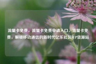 流量卡免费,流量卡免费申请入口,流量卡免费,解锁移动通信的新时代亿乐社区SUP货源站