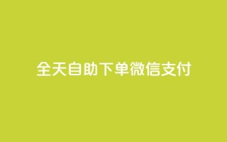 ks全天自助下单微信支付 - 不超过50字限制下,我将原标题重写为:KS微信支付自助下单全天支持!