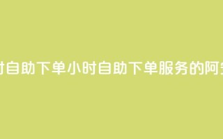 阿安卡盟24小时自助下单(24小时自助下单服务的阿安卡盟)