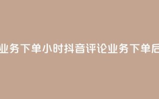 抖音评论业务下单24小时(抖音评论业务,下单后24小时见效)