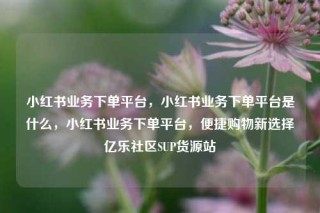 小红书业务下单平台,小红书业务下单平台是什么,小红书业务下单平台,便捷购物新选择亿乐社区SUP货源站