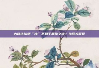 大陆依法惩“独”不利于两岸交流?孙亚夫驳斥