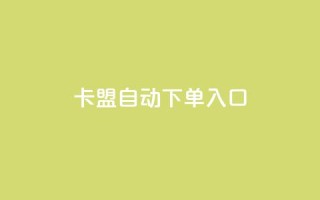 卡盟自动下单入口 - 卡盟自动下单服务专区!