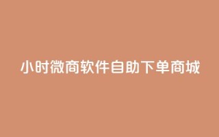 24小时微商软件自助下单商城 - 一天内轻松购物,体验自助下单的微商软件商城~
