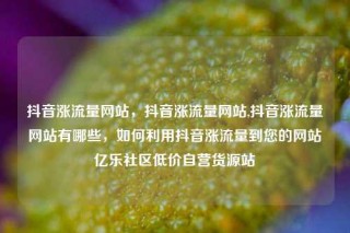 抖音涨流量网站,抖音涨流量网站,抖音涨流量网站有哪些,如何利用抖音涨流量到您的网站亿乐社区低价自营货源站