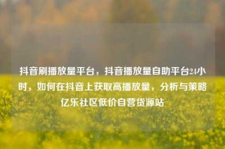 抖音刷播放量平台,抖音播放量自助平台24小时,如何在抖音上获取高播放量,分析与策略亿乐社区低价自营货源站