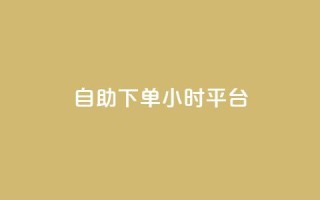 自助下单24小时平台Xhs - 便捷高效!24小时自助下单平台Xhs, 快速满足您的需求!