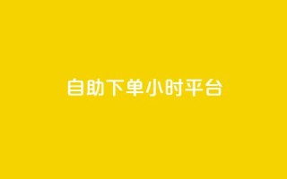 自助下单24小时平台Xhs - Xhs自助下单平台:快速的24小时在线服务~