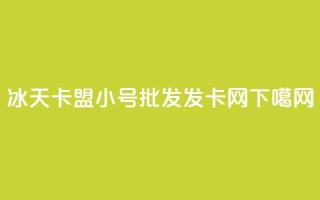 冰天卡盟 - vx小号批发发卡网