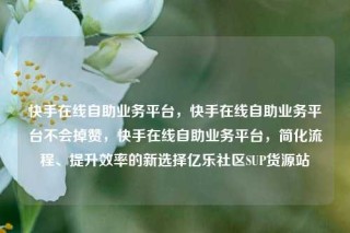 快手在线自助业务平台,快手在线自助业务平台不会掉赞,快手在线自助业务平台,简化流程、提升效率的新选择亿乐社区SUP货源站