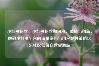 小红书粉丝,小红书粉丝如何涨,破局与创新,解码小红书平台的流量密码与用户黏性策略亿乐社区低价自营货源站