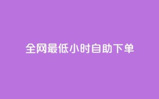 全网最低24小时自助下单 - 全网24小时最低价格快速下单服务!