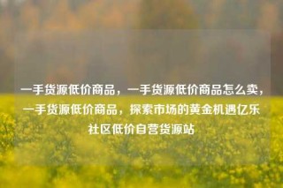 一手货源低价商品,一手货源低价商品怎么卖,一手货源低价商品,探索市场的黄金机遇亿乐社区低价自营货源站