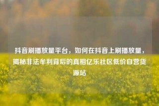 抖音刷播放量平台,如何在抖音上刷播放量,揭秘非法牟利背后的真相亿乐社区低价自营货源站