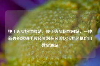 快手购买粉丝网站,快手购买粉丝网站,一种新兴的营销手段及其潜在风险亿乐社区低价自营货源站