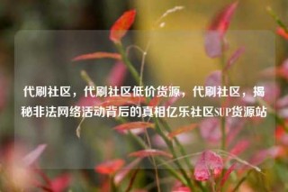 代刷社区,代刷社区低价货源,代刷社区,揭秘非法网络活动背后的真相亿乐社区SUP货源站