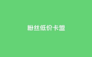 dy粉丝低价卡盟 - 重磅推荐:dy粉丝卡盟亲民价!~