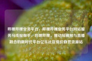 哔哩哔哩业务平台,哔哩哔哩业务平台网站服务马线报帮手,哔哩哔哩,推动短视频与直播融合的新时代平台亿乐社区低价自营货源站